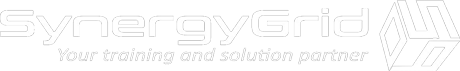 SynergyGrid
